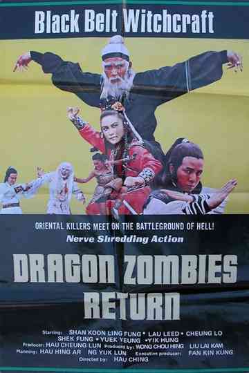 The Zodiac Fighters poster