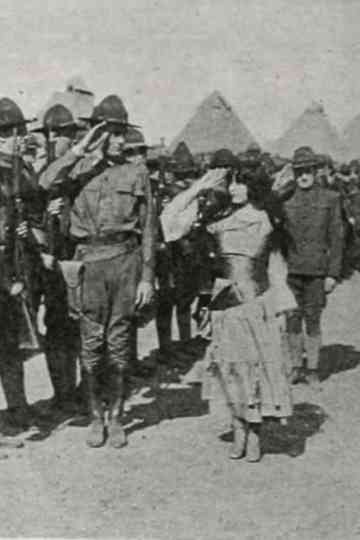 The Little Boy Scout Poster