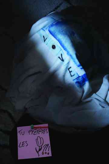 tu préfères les tulipes ??! Poster