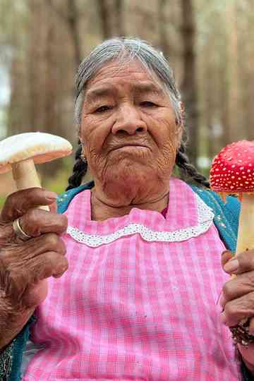 Daughters of the Forest: Mycelium Chronicles Poster