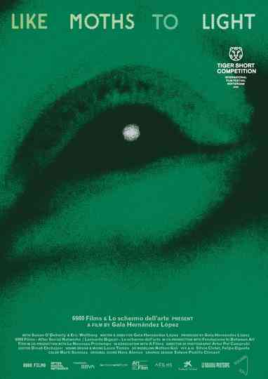 like moths to light Poster