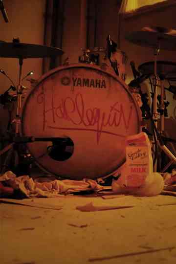 LADY GAGA IN HARLEQUIN LIVE – ONE NIGHT ONLY Poster