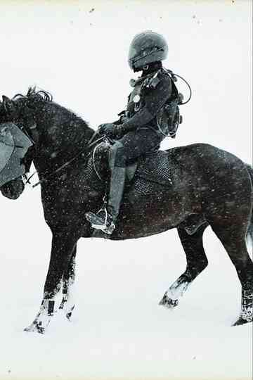 Les Temps Inachevés Poster