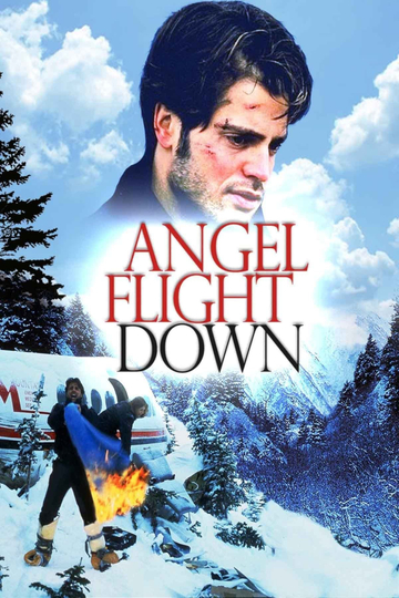 Angel Flight Down Poster