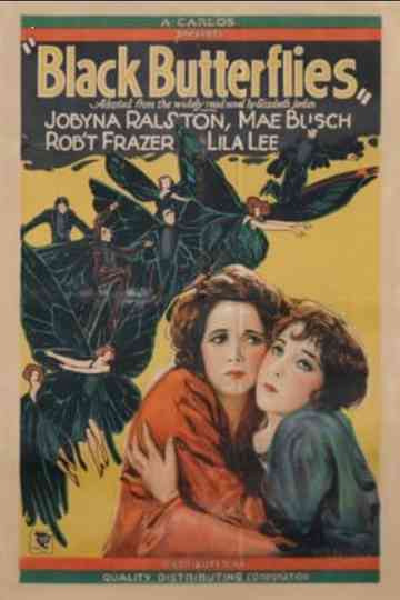 Black Butterflies Poster