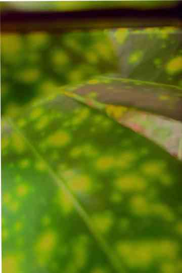 recuerdos de rio verde Poster