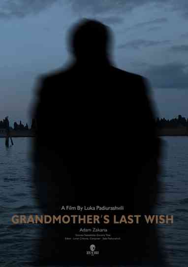 Grandmother's Last Wish Poster