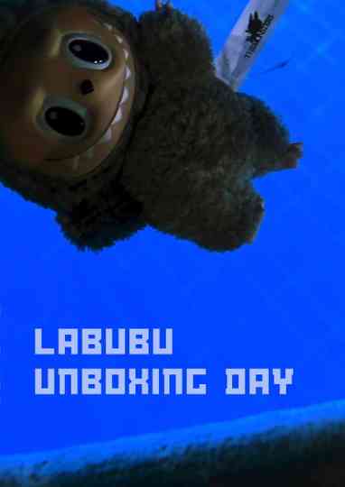 Labubu Unboxing Video Poster