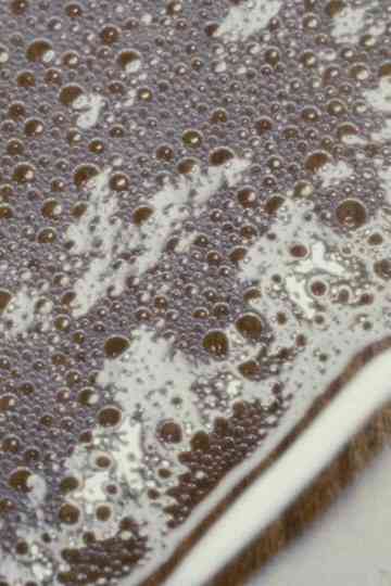 Domestic Demon Poster