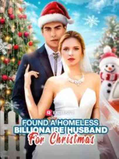 Found a Homeless Billionaire Husband for Christmas Poster