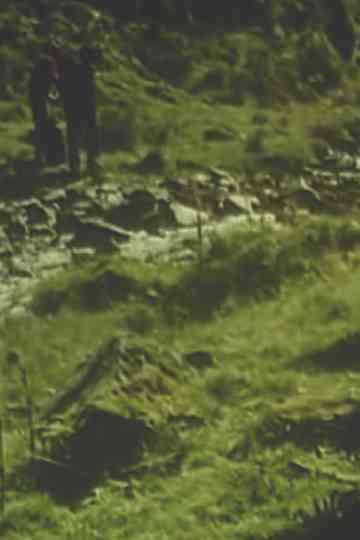 Temps couvert Poster