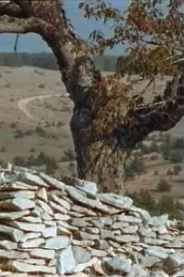 Bookstore: Giono - Stay, my joy Poster