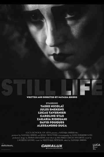 Still Life Poster