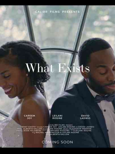What Exists Poster