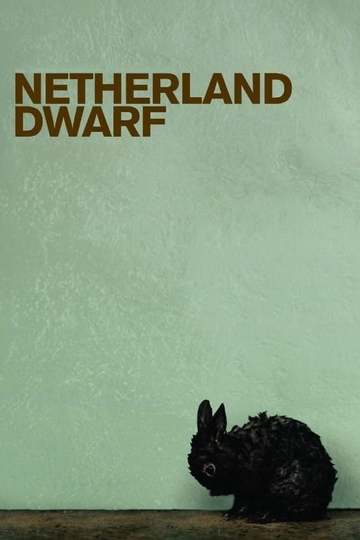 Netherland Dwarf Poster