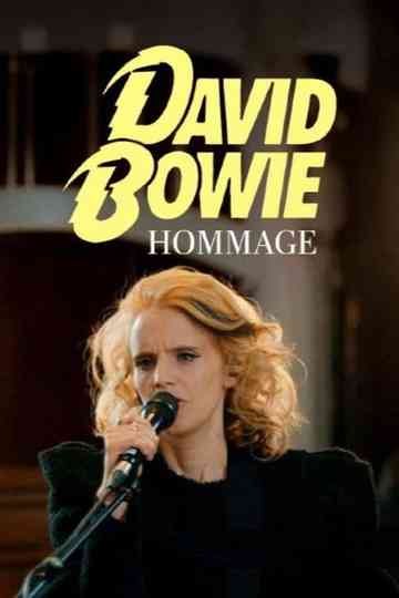 Tribute to David Bowie - Heroes Never Die Poster