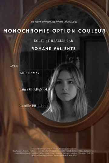 Monochromie Option Couleur Poster