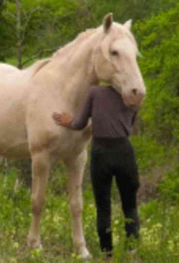 Le silence entre les notes Poster
