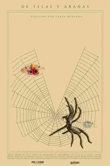 Of Webs and Spiders Poster
