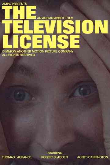The Television License Poster