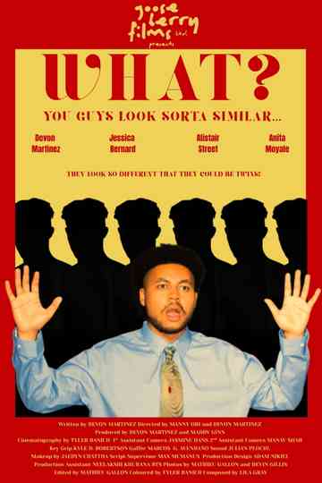 What? You Guys Look Sorta Similar Poster