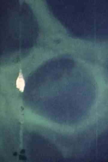 REHEARSAL of WIZARD Poster