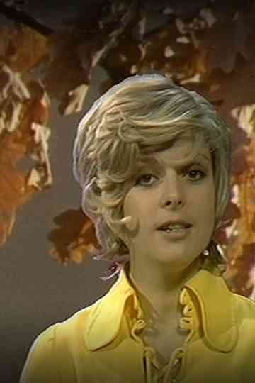 Gamla och nya bilder Poster