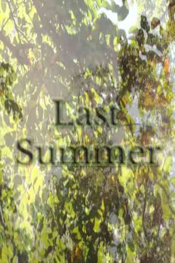 Last Summer Poster