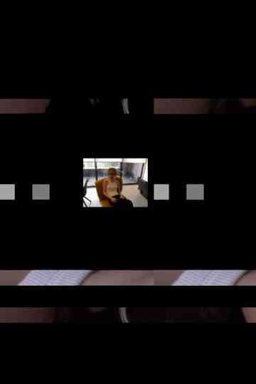 askingladygodiva Poster