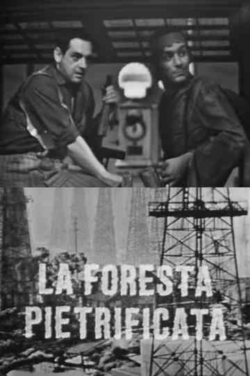 La foresta pietrificata Poster
