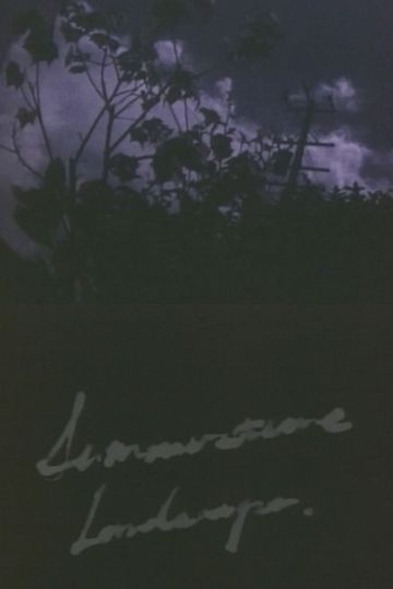 Summertime Landscape (Short Version)