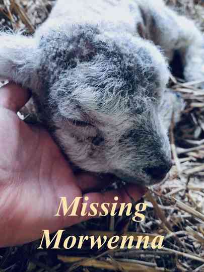 Missing Morwenna Poster