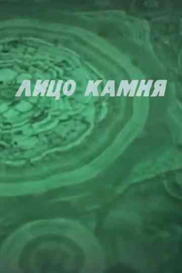 The Face of Stone Poster