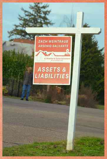 Assets & Liabilities Poster