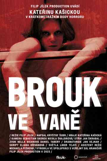 Brouk ve vaně Poster