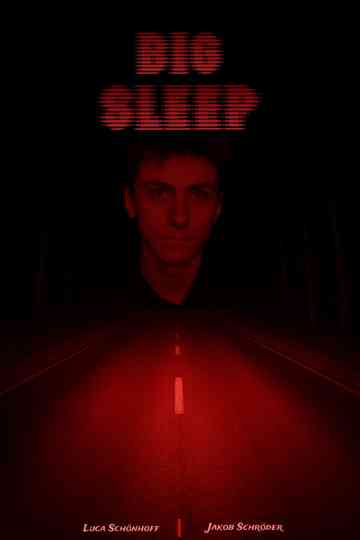 BIG SLEEP Poster