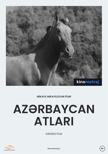 Azerbaijani Horses