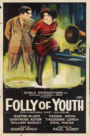 Folly of Youth Poster