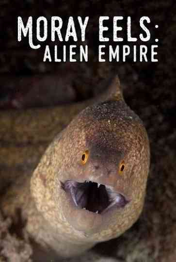 Moray Eels: Alien Empire Poster