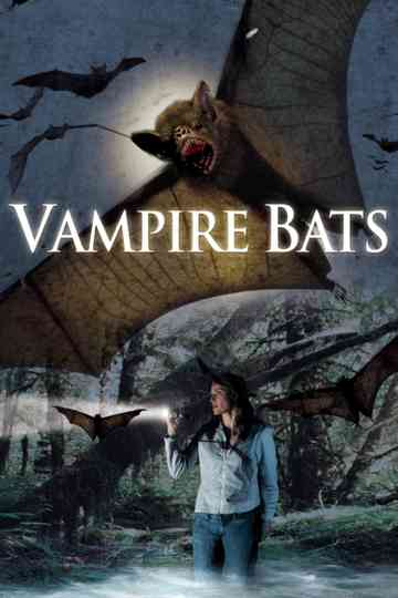 Dr. Maddy Rierdon Collection Poster