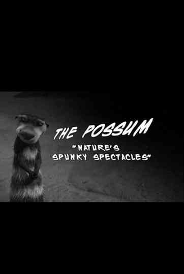 The Possum "Nature's Spunky Spectacles" Poster