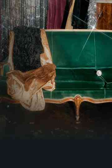 Les Coulisses du Bye bye 2025 Poster