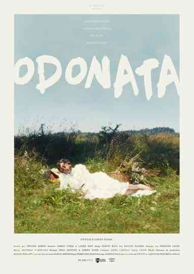 Odonata Poster