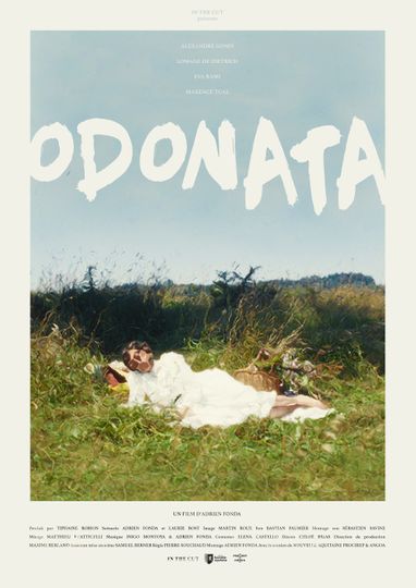 Odonata