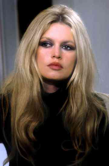 Brigitte Bardot: The Icon of France Poster