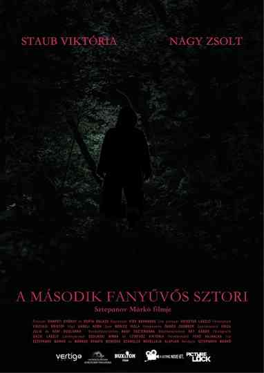 Sasquatch Story No.2 Poster