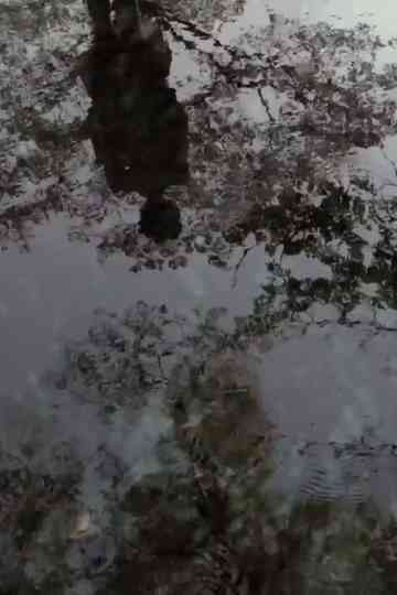 Music as film Poster