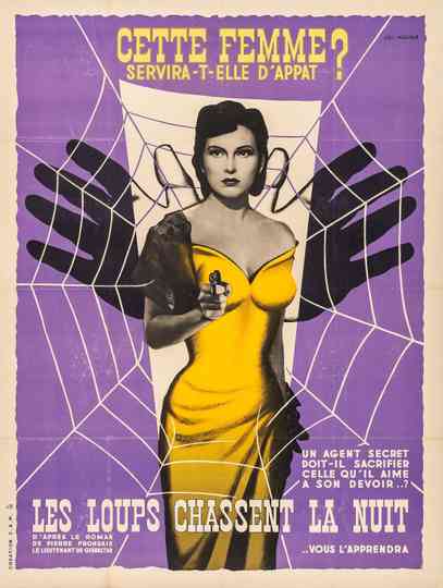 Wolves Hunt at Night Poster