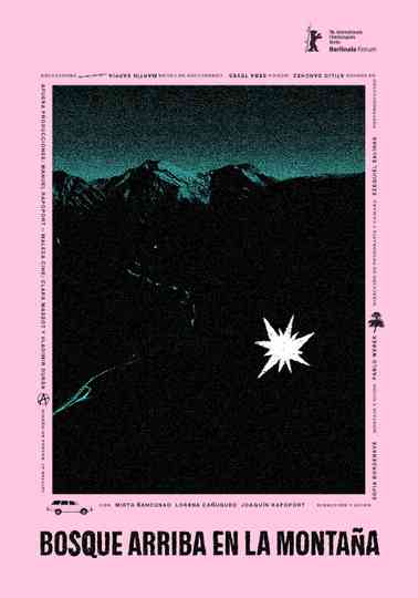 Forest up in the Mountain Poster