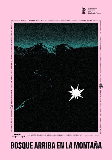 Forest up in the Mountain